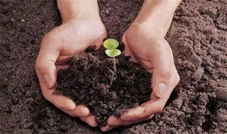 去年我在北京Zuo了个对比实验