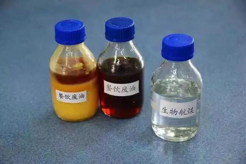 炸食品废油如何发酵？能否变废为宝