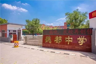 长春买榆树种子，你得知道这些秘密！