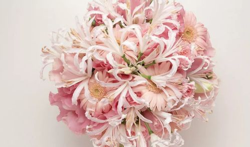 “百合花开花谢，难道不是在诉说着兄妹之间那份永恒的相随与深情吗