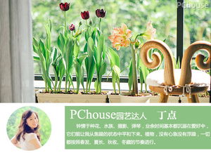 立夏种植指南：精选作物，迎接夏季丰收