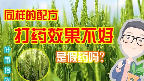 晶型与异构体的影响