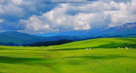 抗旱密码， 四重生存机制