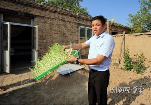 探索农业养殖新路径，借鉴养猪业成功经验