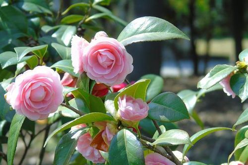 温度控制记住三个数