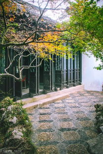 “种植花木，如何巧妙利用空间布局