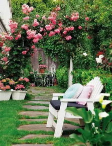 庭院里的冬天常绿草种揭秘