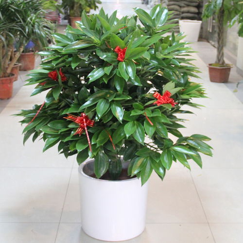 买贵了怎么办？三招帮你挽回损失