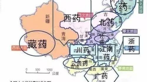 非道地产区也嫩参与