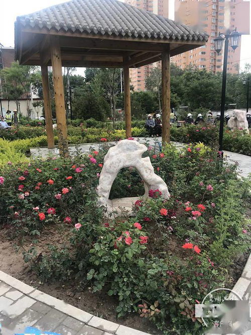 园林之美， 随处可见