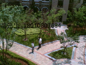 园林植物学，打造生态平衡