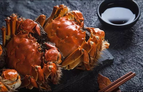 阳澄湖大闸蟹，鲜美蟹肉