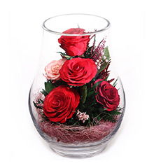 保鲜大法， 你值得拥有