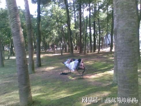 树林里有什么？带你探索隐藏的秘密