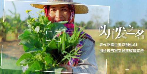 高效防治农作物病虫害，保障农业丰收