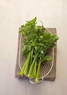 七八月适合种植的蔬菜