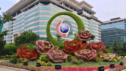 揭秘木菊花繁花似锦的剪枝秘诀，轻松打造四季不败花坛！