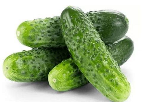 浓度过高， 小心烧苗