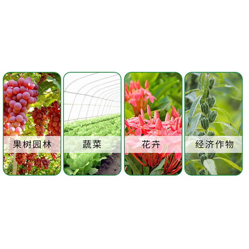 柑橘种植那些事儿：农药使用的烦恼与对策