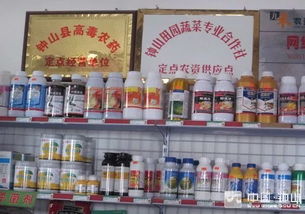 广州农资批发市场的传说