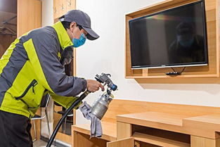 人工除甲醛，效果如何？真的Neng彻底去除吗？