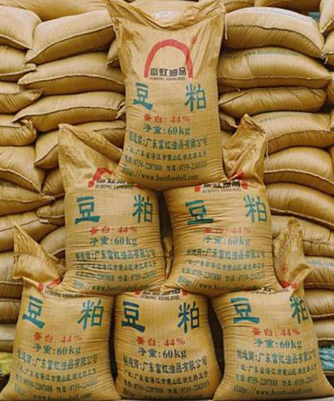 2026年5月河北豆粕价格是多少？近期行情如何？