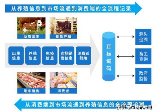 数据驱动，智慧养猪