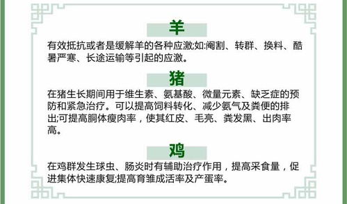 使用溶解饲料甜味剂时如何避免核心参数解析错误和增效方案误区？
