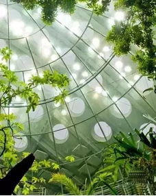 考研率的那些事儿