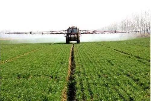 草海里哪个浪花Zui猛？