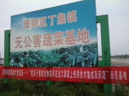 宜昌农药出口的佼佼者