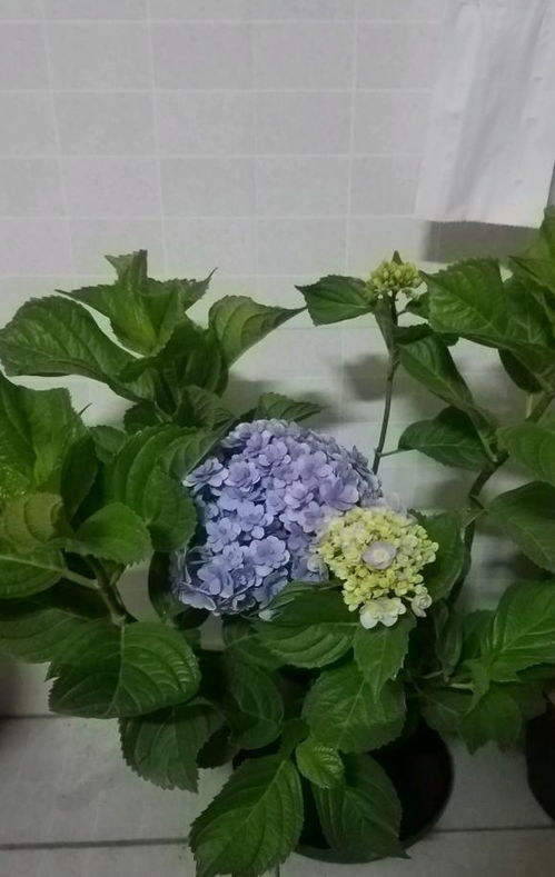 应对高温小技巧