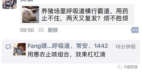 疫苗注射失误，猪只应激反应如何避免
