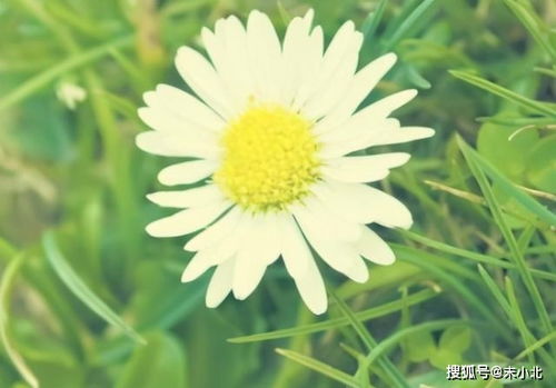 家庭使用时的常见误区，你中了几招？