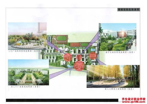 行业前景：持续增长的市场需求