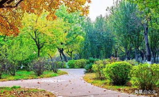 常见防寒措施详解