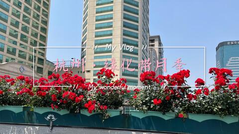 月季花的种类繁多， 形态各异