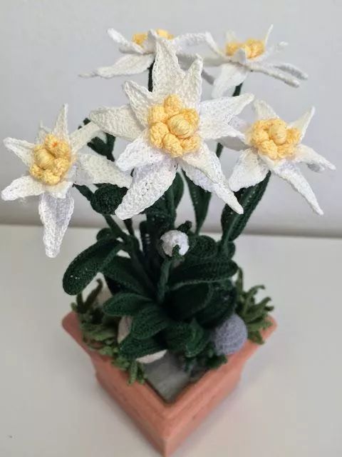 “保鲜剂+技巧，如何让插花花瓣久开不败