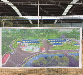 养殖场环境管理：绿色养殖