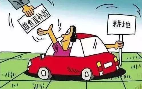 2019年粮食补贴还有吗？政策调整后