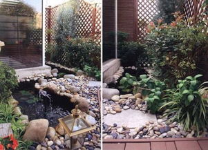 八月种植花草的选择