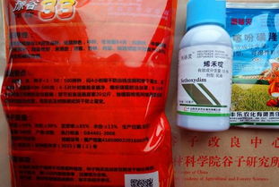 大惠农除草剂价格揭秘：不同规格和地区差异大不大？