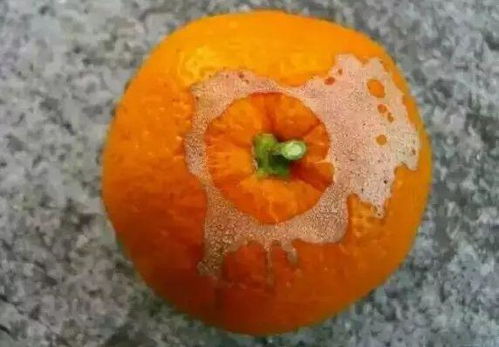 柑橘皮法,这个听说过没?