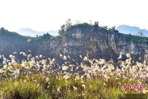 积水湖， 绿色画卷