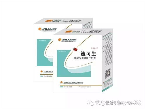 头孢在养猪生产中的五个首选，你知道是哪五种吗
