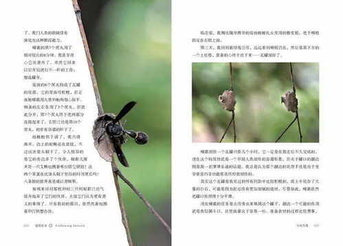 深层次的生理和心理因素