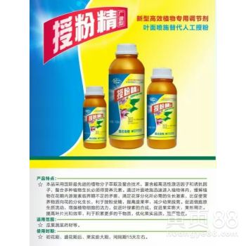 百菌清与叶绿素、叶面肥的奇妙碰撞