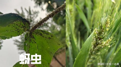 环保与可持续