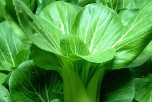 一、大蒜：老少皆宜，市场需求大