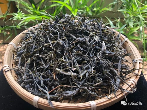 嫩芽初上：时光集茶叶价格查询及购买指南